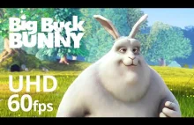 Big Buck Bunny 4K 60fps