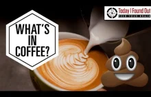 Dlaczego kawa powoduje, że defekujemy?[ENG]