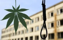 Kara śmierci za medyczny olej z marihuany - Cannabis News