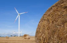 70 proc. farm wiatrowych przynosi straty