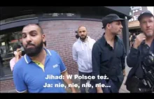 Muzułmanin kłóci się z Polakiem: W Twoim kraju rośnie w siłę rasizm
