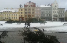 W Bydgoszczy dzień przed orkanem Ksawery UM postawił choinkę