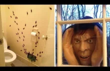 Halloween Pranks