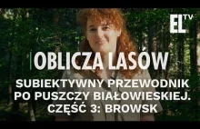 Subiektywny przewodnik po Puszczy Białowieskiej. Część 3: Browsk | Oblicza...