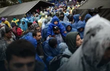 Setki migrantów usiłują przedostać się z Serbii do Chorwacji