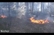 Pożar lasu wokół Czarnobyla raczej nie zostanie opanowany.
