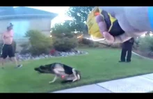 Policjant ze stanu Utah strzela taserem do agresywnego psa