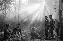 Wojna w Wietnamie [100 zdjęć]