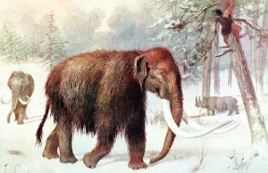 Ekstremalnie miniaturowe mamuty z Krety