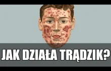 Jak działa trądzik?