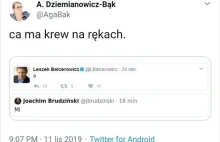 Amica ma krew na rękach. O co chodzi?