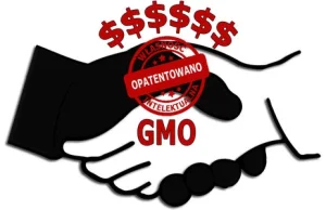 Lobbyści GMO zdemaskowani: kim jest Pani Twardowska?