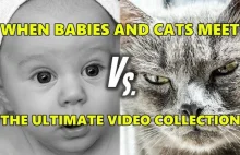 Dzieci versus koty ( ͡° ͜ʖ ͡°)