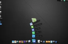Cicha rewolucja - Linux Mint 16 jest tym, czym Ubuntu zawsze chciało być