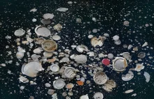 Oceany toną w plastiku