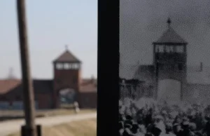 Wykopki znowu dali się zmanipulować. Tym razem sprawa flagi w Auschwitz.