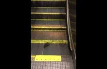 Szczur na schodach ruchomych / rat on escalator