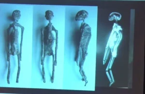 Mumie z Nazca nie pochodzą z Ziemi?