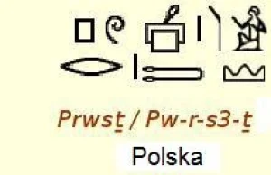 Nazwy Polska i Polacy zapisane na reliefach Ramzesa III - blog I.C