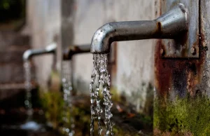 Ekonomia deszczu – dlaczego niedobór wody nie powinien być problemem