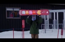 Jak stworzyć snowboard z programowalnym wyświetlaczem LED (Ang)