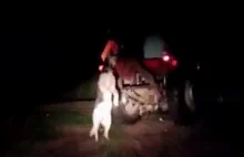 Brak słów... powiesił psa na traktorze i opublikował film w sieci