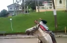 Dlaczego nie warto jeździć na koniu po alkoholu?