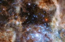 Zbadano dziewięć gwiazd o masach ponad 100 mas Słońca