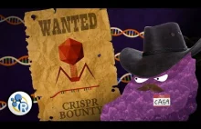 Metoda CRISPR/Cas9 w inżynierii genetycznej - jak to działa?