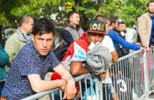 „Uchodźcy” coraz bardziej agresywni. Niemcy chcą, żeby do nich strzelać – WIDEO