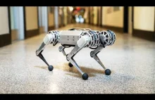 Robot mini gepard