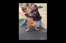 Człowiek spotyka swojego psa po 2 latach