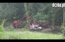 Wypadek w lesie