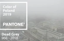 "Kolor roku 2019 PANTONE w Polsce powinien być inny". Viral zwraca uwagę na smog