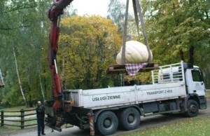 Dynia gigant w Olsztynku. Ponad 200 kg, ktoś wyhodował większą?