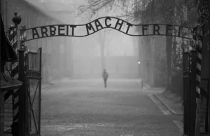 Skandal! Izraelska gazeta „Haaretz” atakuje Muzeum Auschwitz