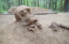 Archeolodzy przebadali w Puszczy Białowieskiej średniowieczny kurhan