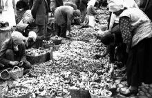Krakowski rynek pełen grzybów. Tak dawniej handlowano