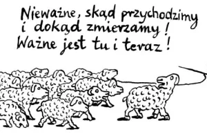 Andrzej Krauze: Wazne jest tu i teraz