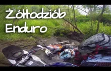 Żółtodziób wraca na rajd enduro