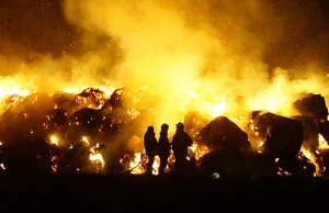 Strażacy z Ochotniczej Straży Pożarnej sprawcami szeregu podpaleń