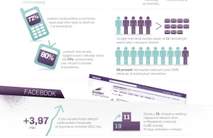 Kolejna dobra infografika - polski internet w pigułce