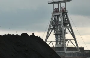 Czy polski węgiel ma ginąć za Europę?