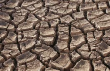 Potworna susza w Kalifornii – władza reglamentuje wodę