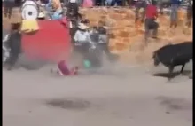 Zabawa z bykiem w Peru