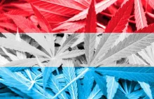 Rząd Luksemburga podał szczegóły legalizacji marihuany rekreacyjnej | |...