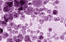 Rak na celowniku nanocząsteczek