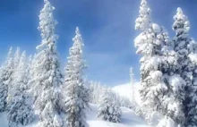 ANTONIO VIVALDI - L 'Inverno (Winter - full version