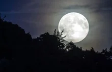 Chińczycy chcą mieć własny księżyc do oświetlania miasta. „Ogromny potencjał”