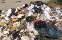 "Polacy oddychają metanem z wysypisk śmieci"